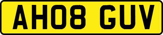 AH08GUV