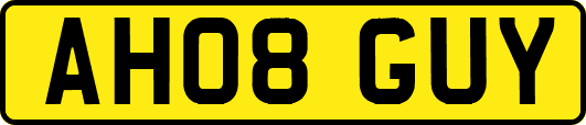 AH08GUY