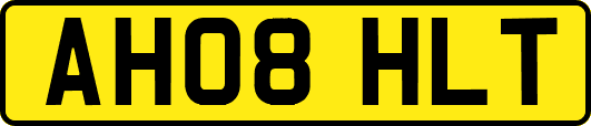 AH08HLT