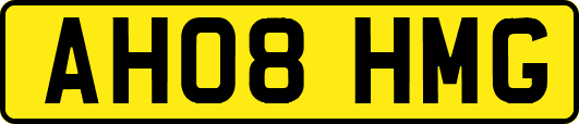 AH08HMG
