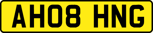 AH08HNG