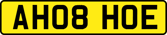 AH08HOE