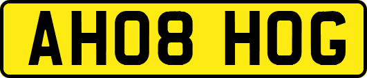 AH08HOG
