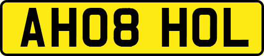 AH08HOL