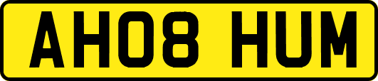 AH08HUM