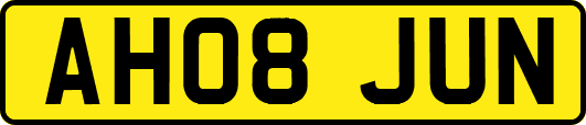 AH08JUN