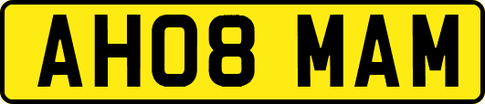 AH08MAM