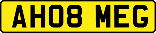 AH08MEG