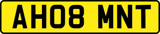 AH08MNT