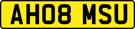 AH08MSU