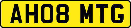 AH08MTG
