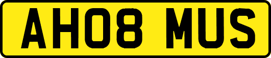 AH08MUS