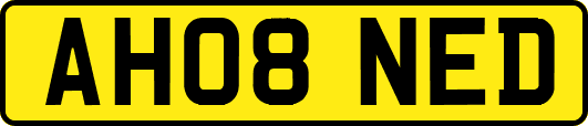 AH08NED