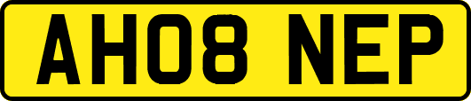 AH08NEP