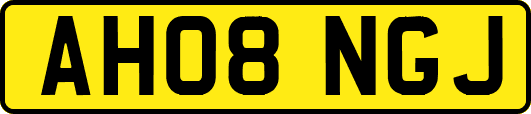 AH08NGJ