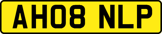 AH08NLP