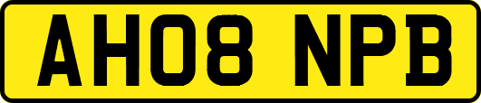 AH08NPB