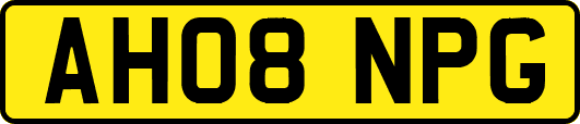 AH08NPG