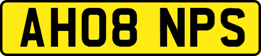 AH08NPS