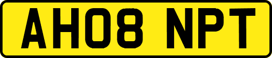AH08NPT