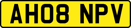 AH08NPV