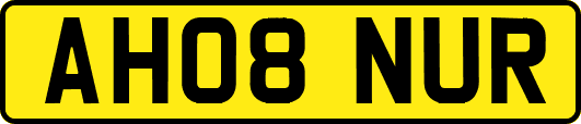 AH08NUR