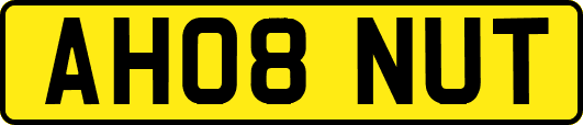 AH08NUT