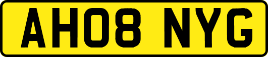 AH08NYG