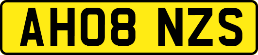 AH08NZS