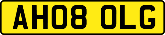 AH08OLG