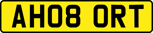 AH08ORT