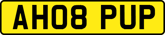 AH08PUP