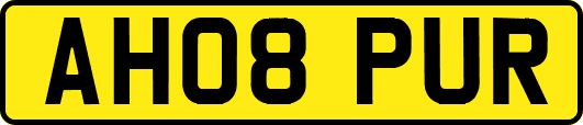 AH08PUR