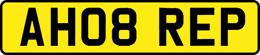AH08REP