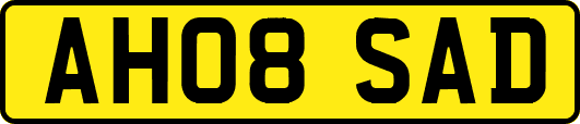 AH08SAD