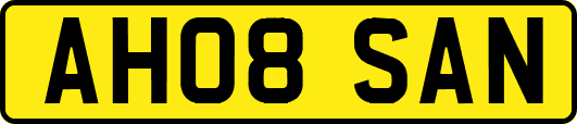 AH08SAN