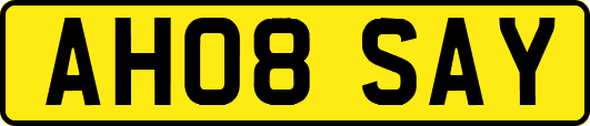 AH08SAY