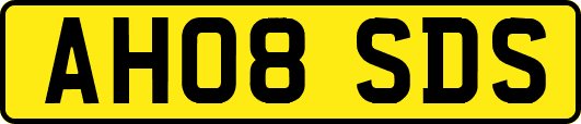 AH08SDS