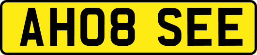 AH08SEE