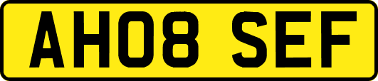 AH08SEF