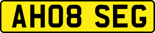 AH08SEG