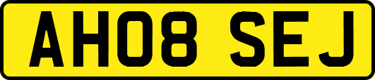AH08SEJ
