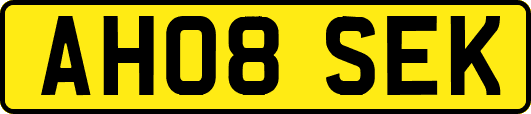 AH08SEK