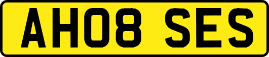 AH08SES
