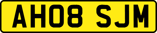 AH08SJM