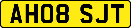 AH08SJT