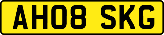AH08SKG
