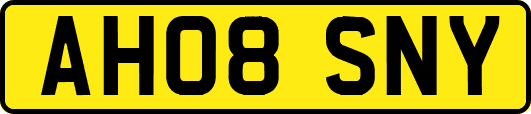 AH08SNY