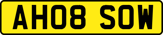 AH08SOW