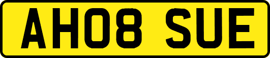 AH08SUE